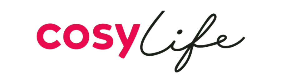 Airfryer CosyLife by ElectroDepot